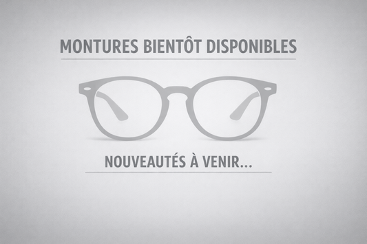 Lunette de soleil 12